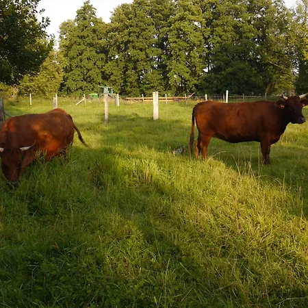 La Fleuv'yeres * Villy-sur-Yeres